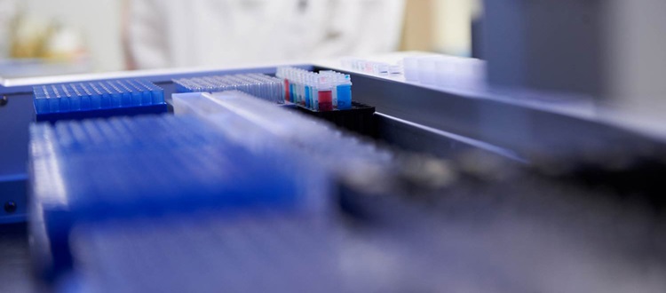 Specimens in laboratory 